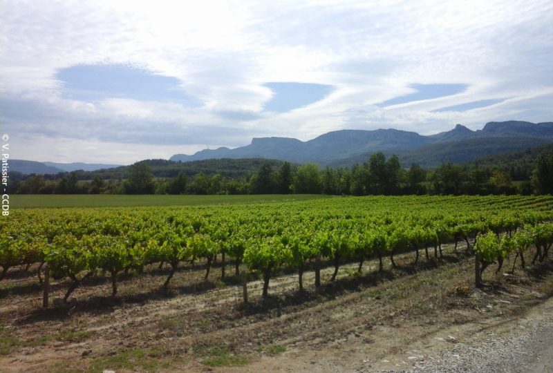 Serre de Forillon à La Bégude-de-Mazenc - 1