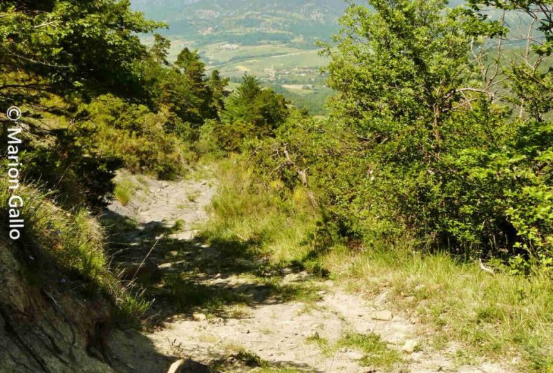 Les collines d&rsquo;Orcinas à Orcinas - 0