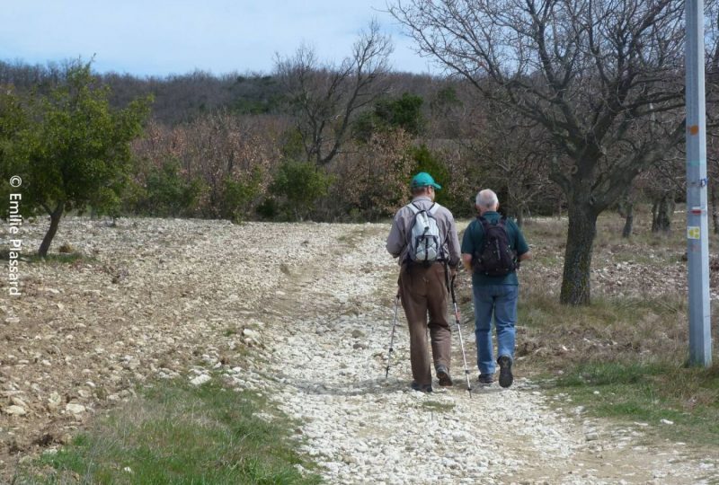 Les forêts d&rsquo;Aleyrac à Aleyrac - 0