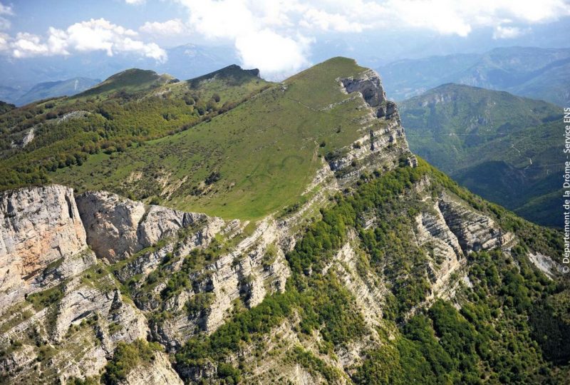 Pré de l&rsquo;Ane par le coeur de la forêt à Saoû - 1