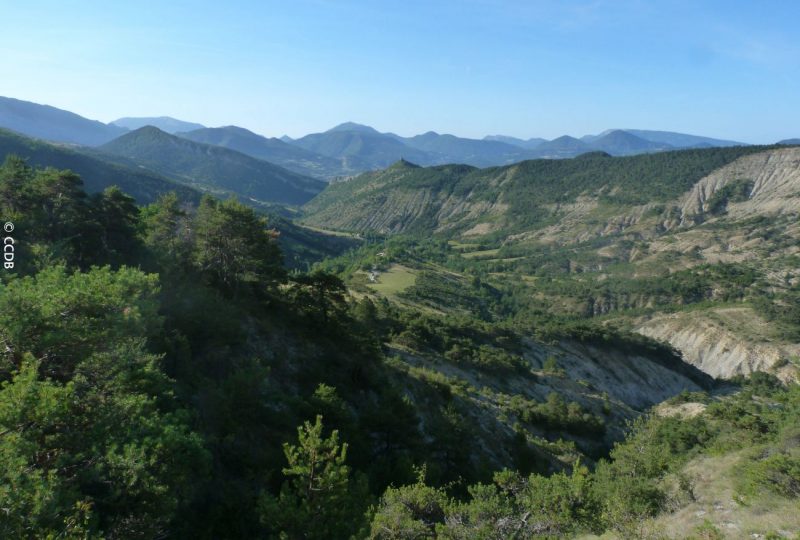 Le tour de Gourdon à Bézaudun-sur-Bîne - 3