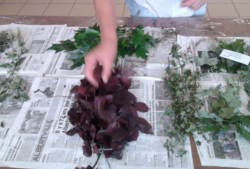 Atelier impression botanique sur papier à Saoû - 0