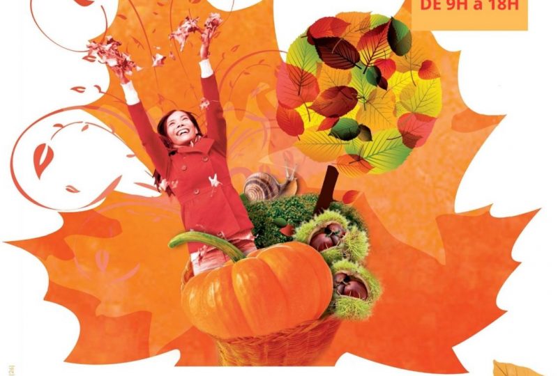 Foire d&rsquo;automne à Dieulefit - 0