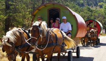 2 circuits et une nuit en roulotte