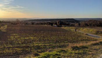 Domaine de la Bouvaude