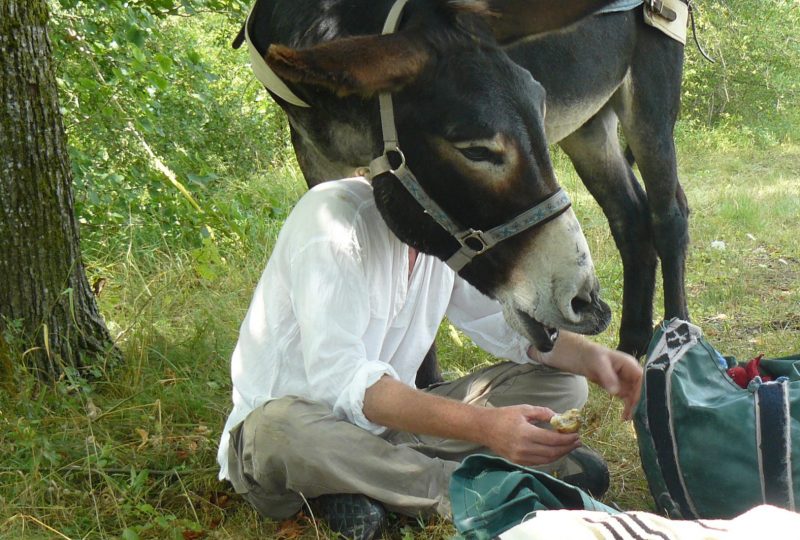 Randonnée en Anes  Bâtés Tzig’Ane à Bourdeaux - 0