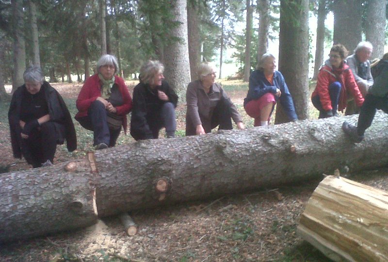 Gymnastique Volontaire (F.F.E.P.G.V.) à Dieulefit - 2