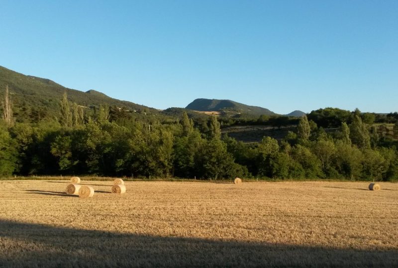 Les Nuits du Taris à Bourdeaux - 16