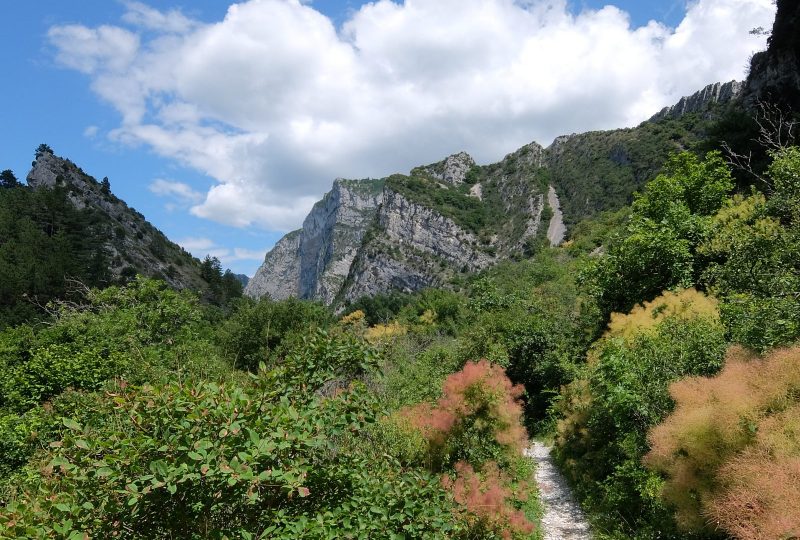 Entre Roc et Estang à Saou - 4