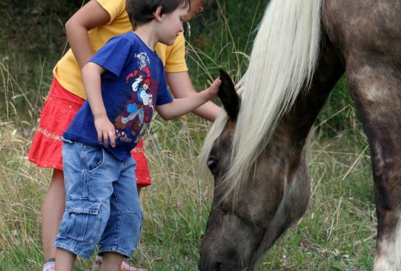 Vacances en roulotte itinérante avec chevaux et meneur à Le Poët-Célard - 2