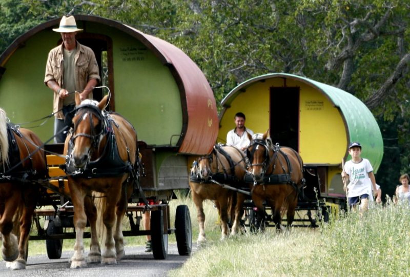 Vacances en roulotte itinérante avec chevaux et meneur à Le Poët-Célard - 13