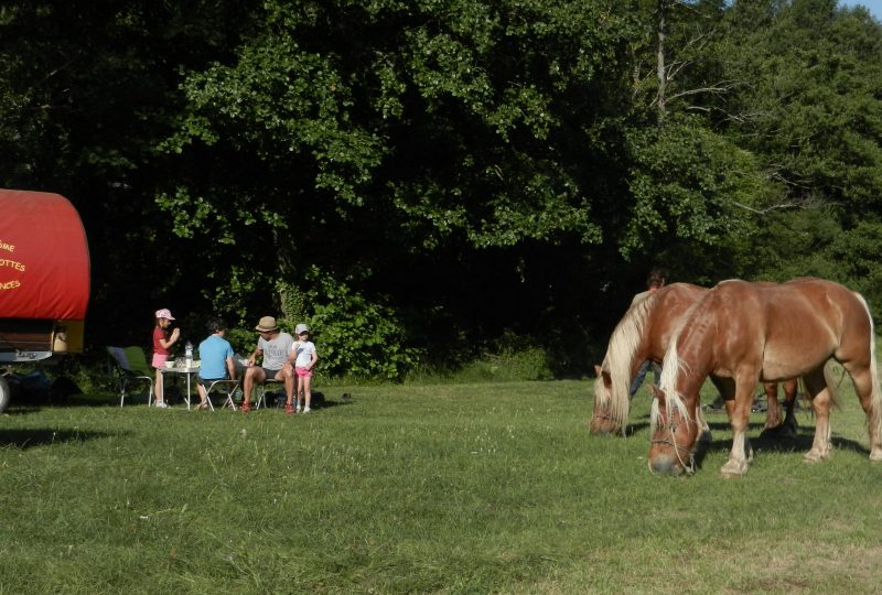 « L’Escapade » : 3 circuits et 2 nuits en roulotte itinérante avec chevaux et meneur à Le Poët-Célard - 3